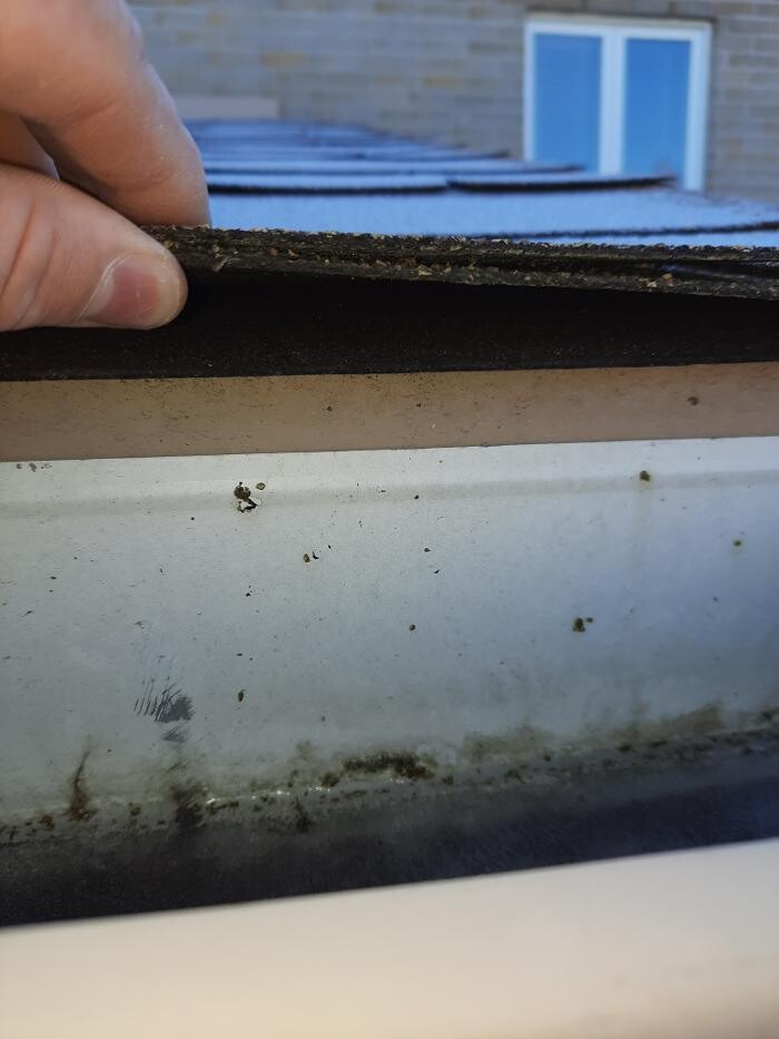 Images Les Inspections ORION Inc. - Inspecteur en Bâtiment Rosemont