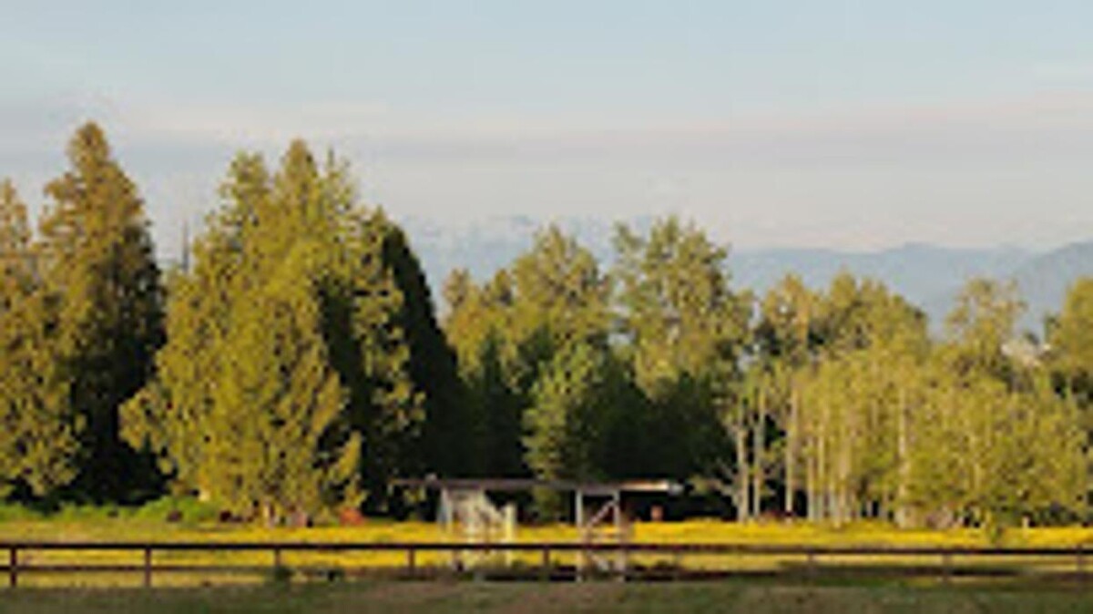 Images Science Pure Nutraceuticals