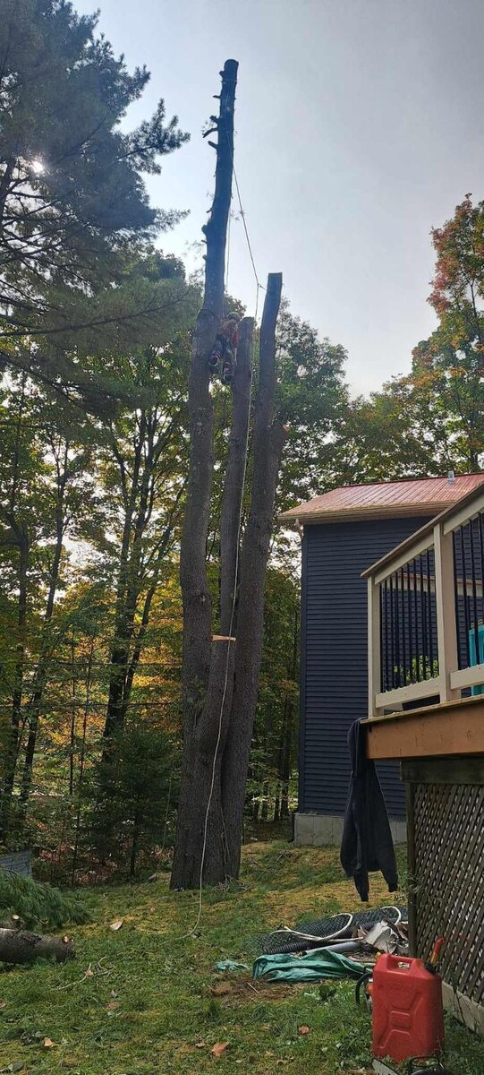 Images Élagage Unique - Cowansville