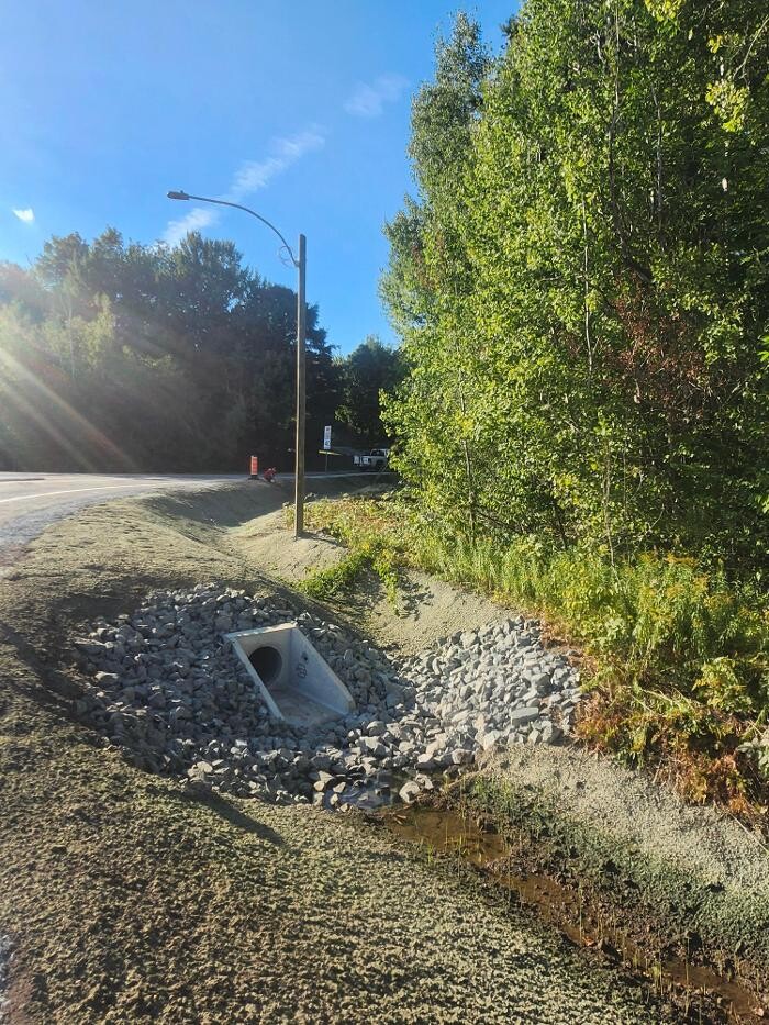 Images Élagage Unique - Cowansville