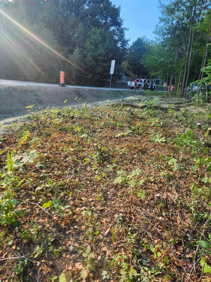 Images Élagage Unique - Cowansville