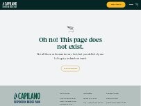 Website Screenshot Loggers Grill