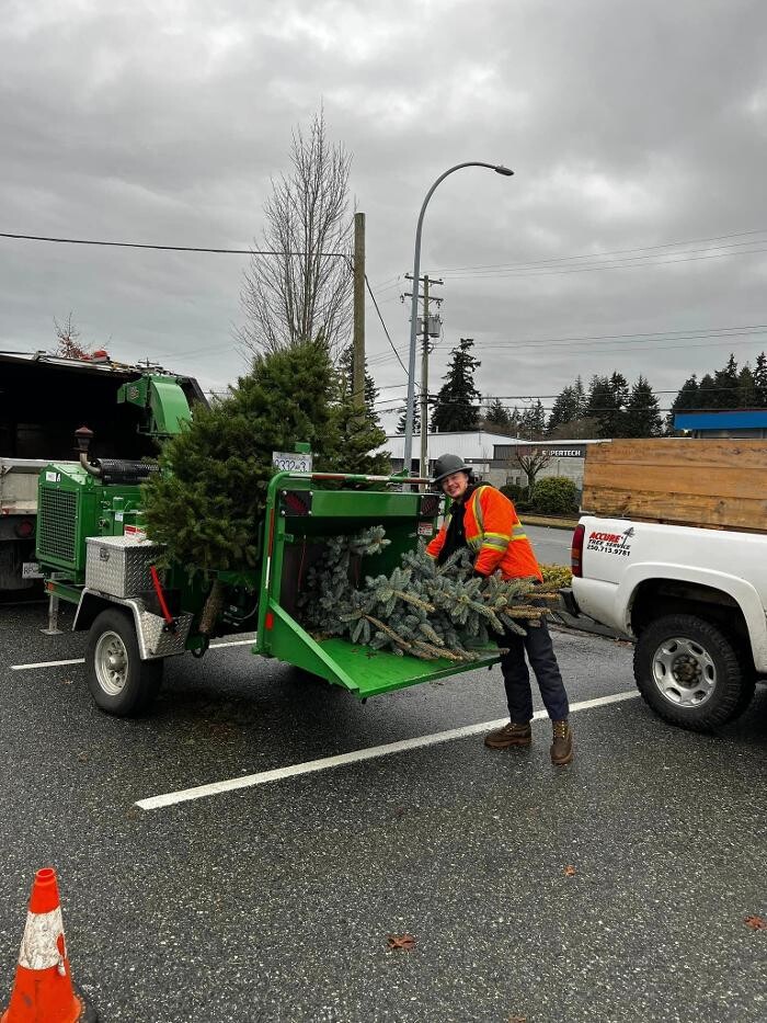 Images Accure Tree Service