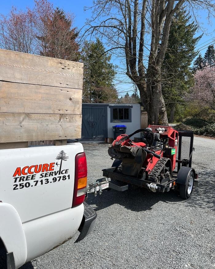 Images Accure Tree Service