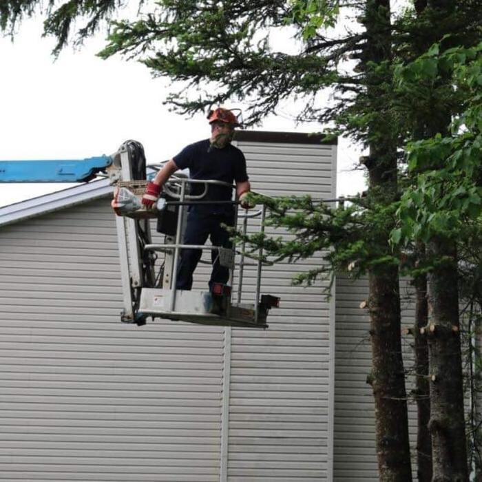 Images S&R Tree Service and Excavation