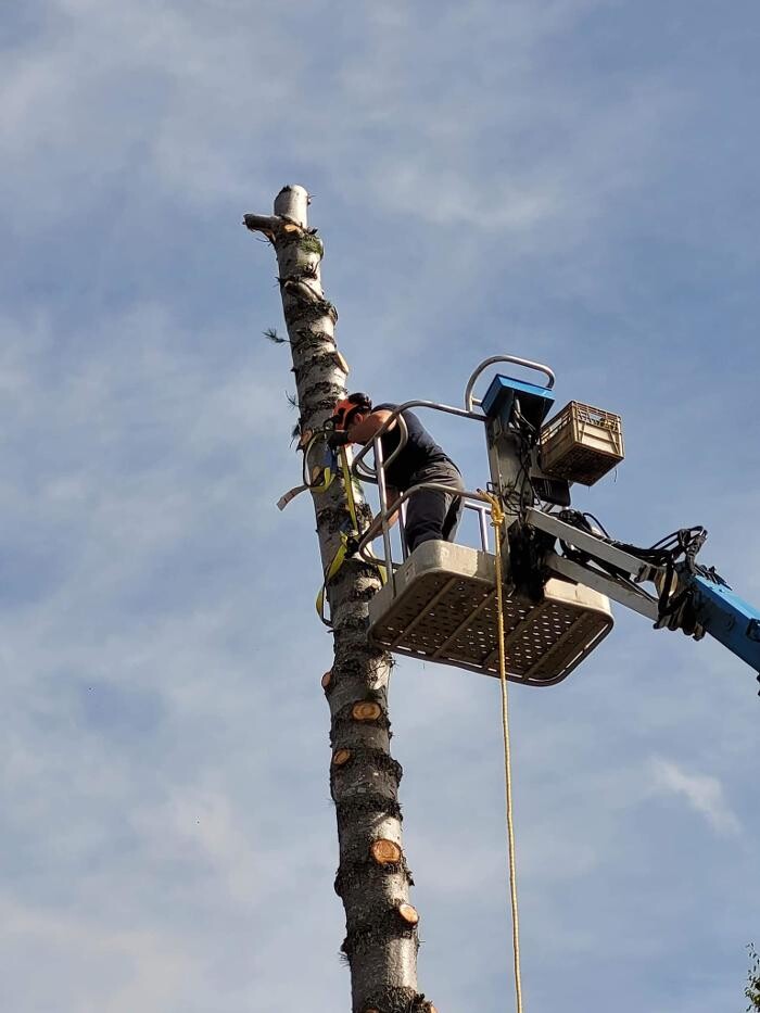 Images S&R Tree Service and Excavation