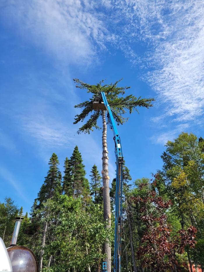 Images S&R Tree Service and Excavation