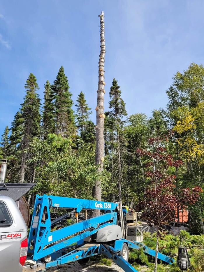 Images S&R Tree Service and Excavation