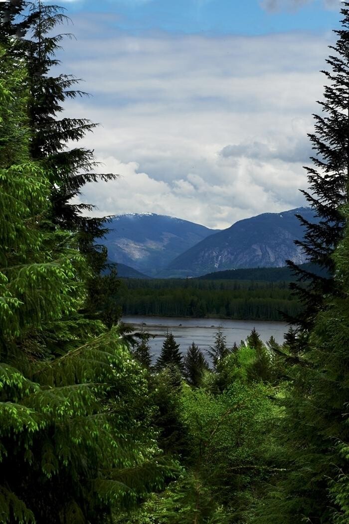 Images Shames Country Lodge