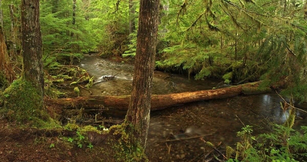 Images Shames Country Lodge