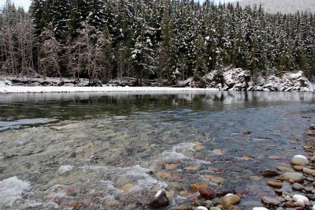 Images Shames Country Lodge