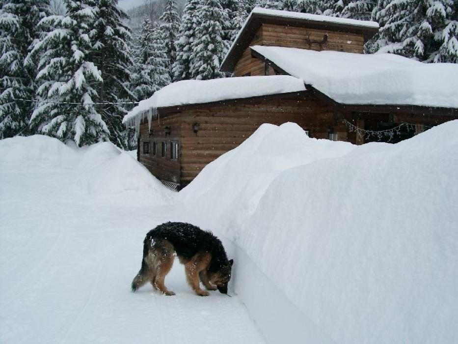 Images Shames Country Lodge