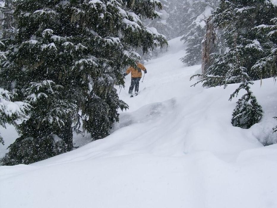 Images Shames Country Lodge