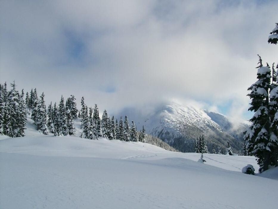 Images Shames Country Lodge