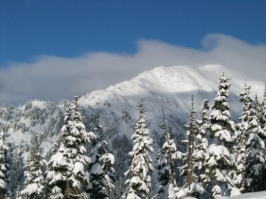 Images Shames Country Lodge