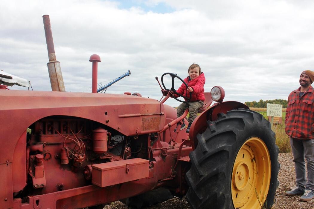 Images Clovermead Adventure Farm