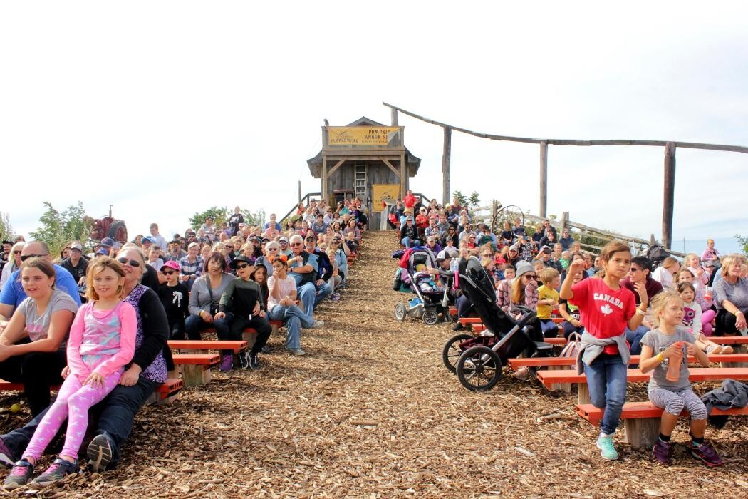 Images Clovermead Adventure Farm