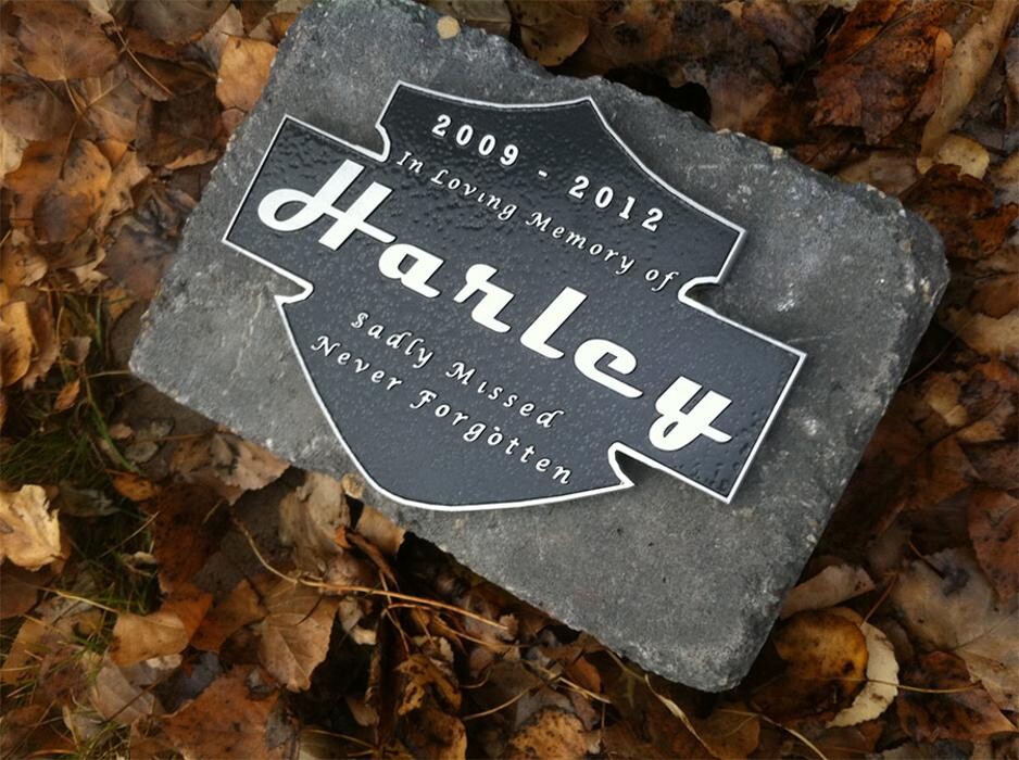 Images Lager Enterprises