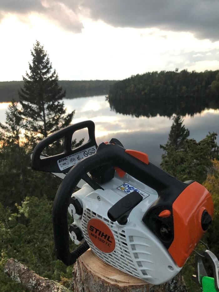 Images Levesque Tree Services