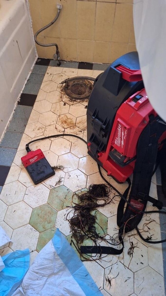 Images The Crazy Plumber