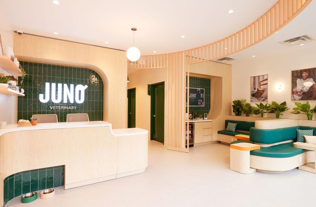 Images Juno Veterinary Leaside