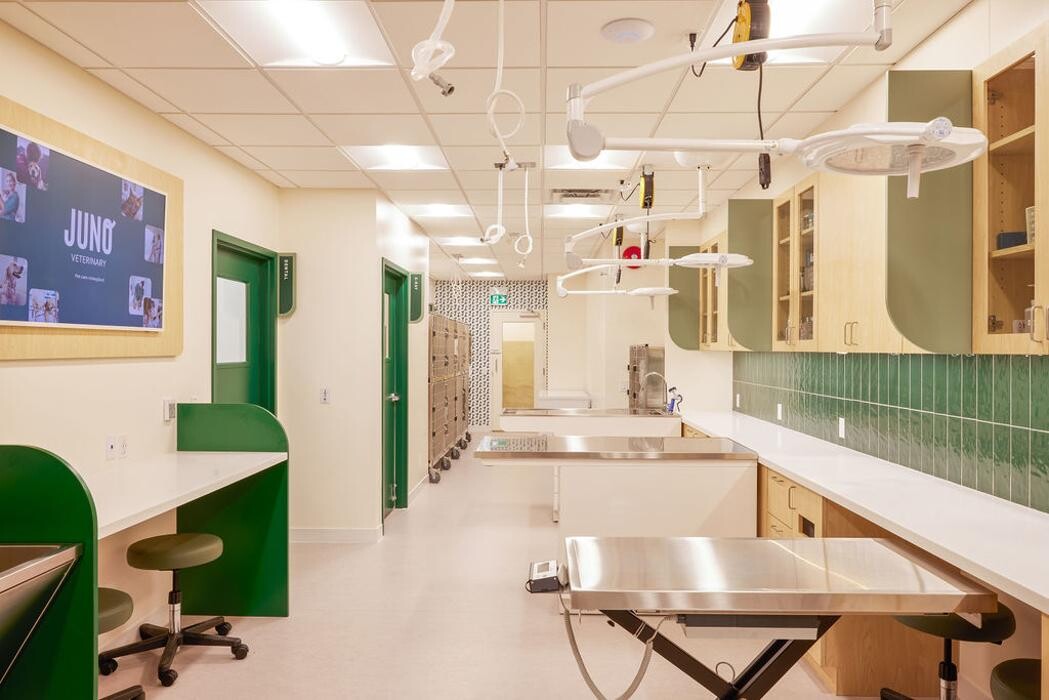 Images Juno Veterinary Leaside