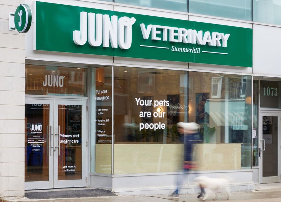 Images Juno Veterinary Leaside