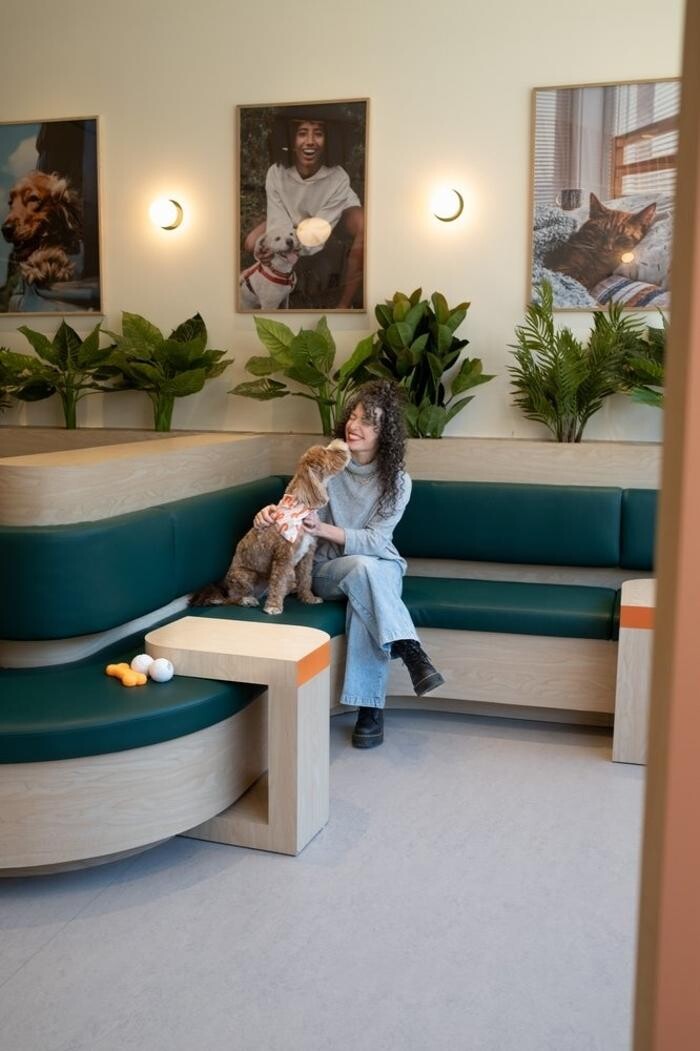Images Juno Veterinary Leaside