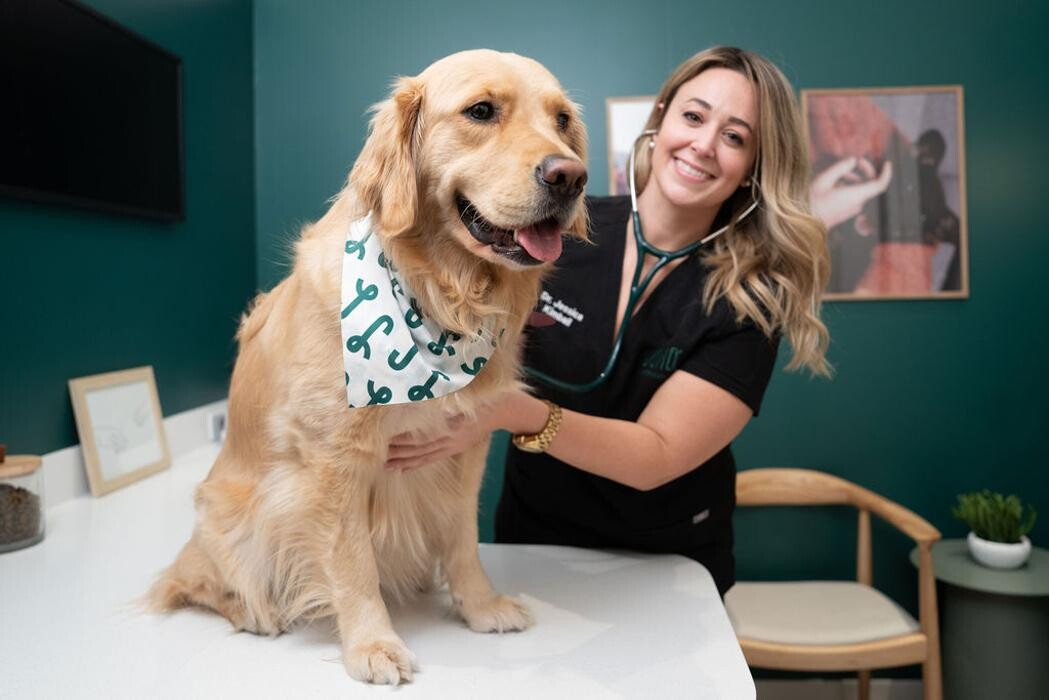 Images Juno Veterinary Leaside