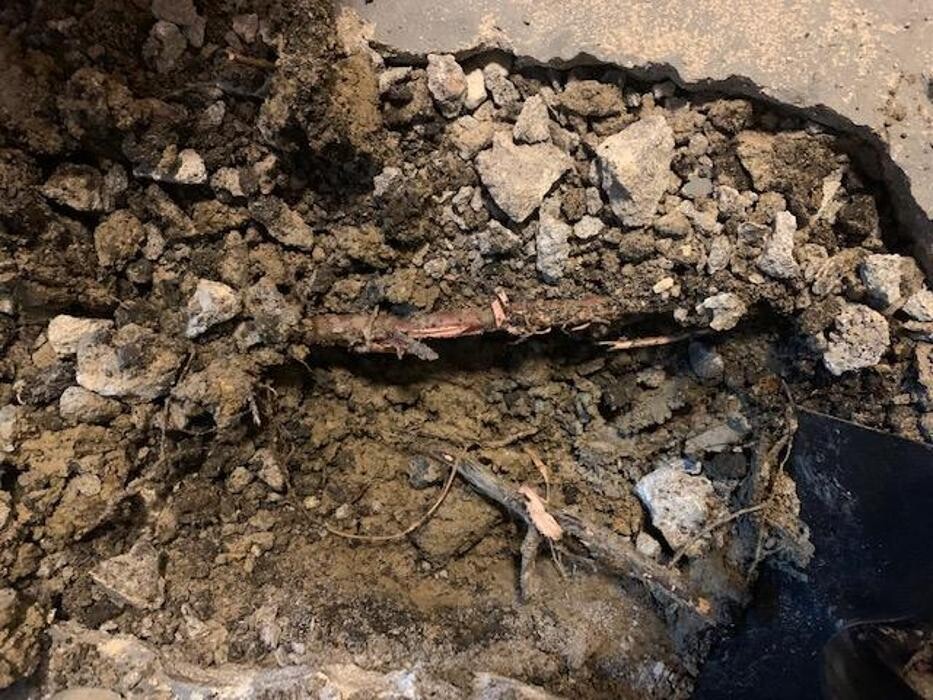 Images Drain Experts Plumbing