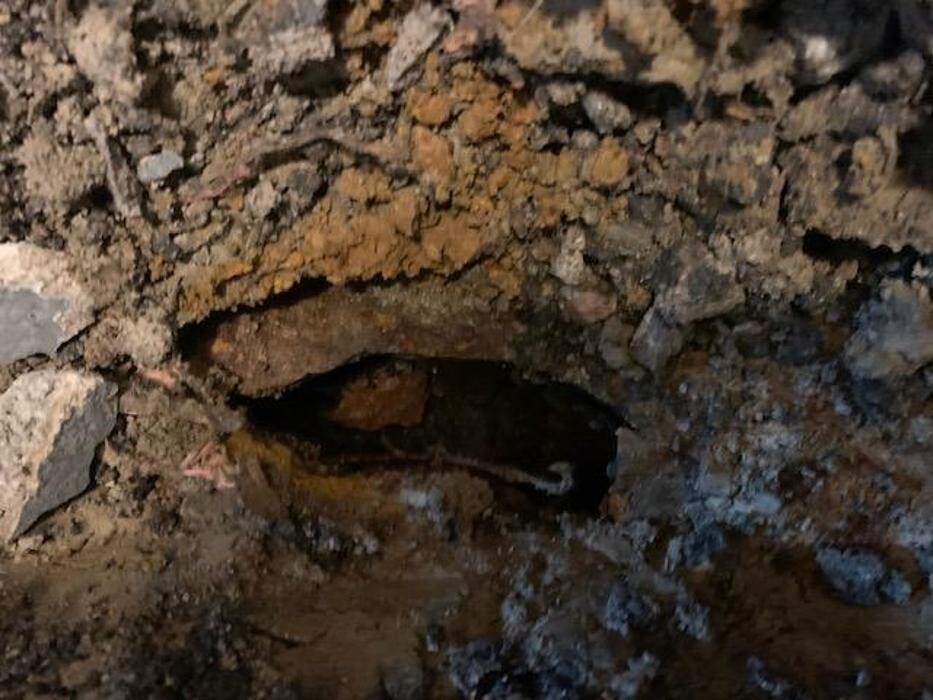Images Drain Experts Plumbing