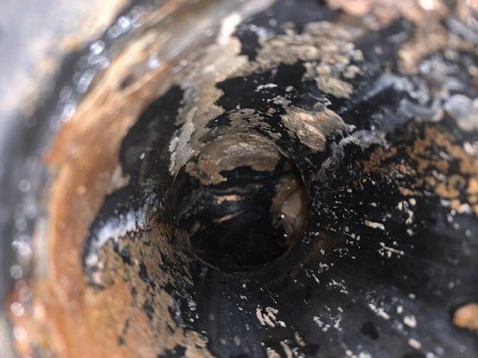 Images Drain Experts Plumbing