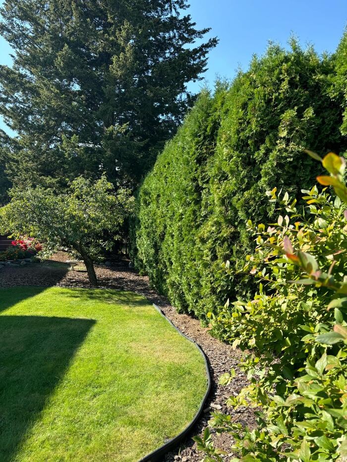 Images BTR LANDSCAPING LTD