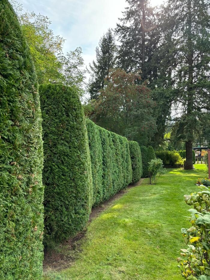 Images BTR LANDSCAPING LTD