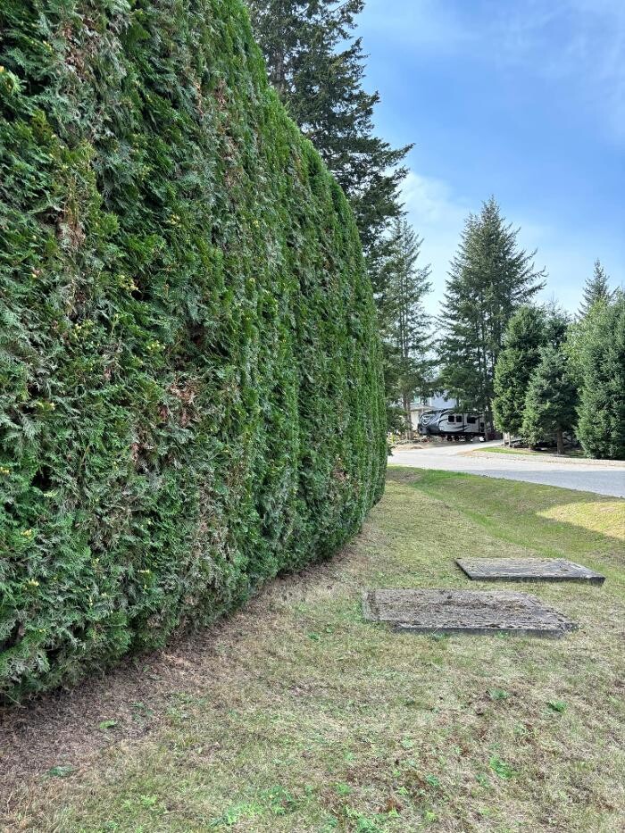 Images BTR LANDSCAPING LTD