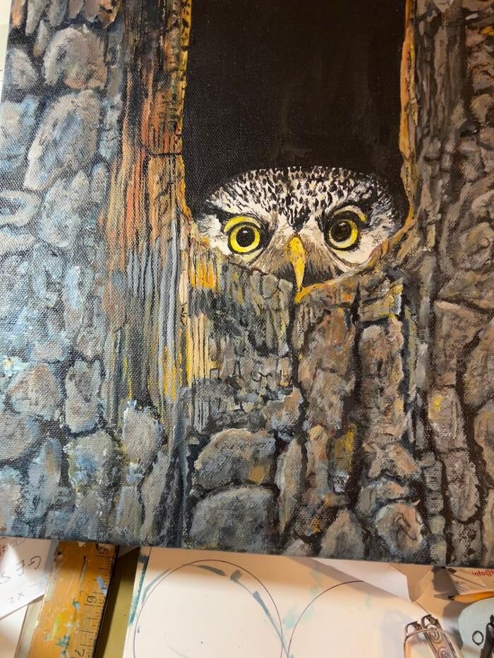 Images Minnekhada Art Studio