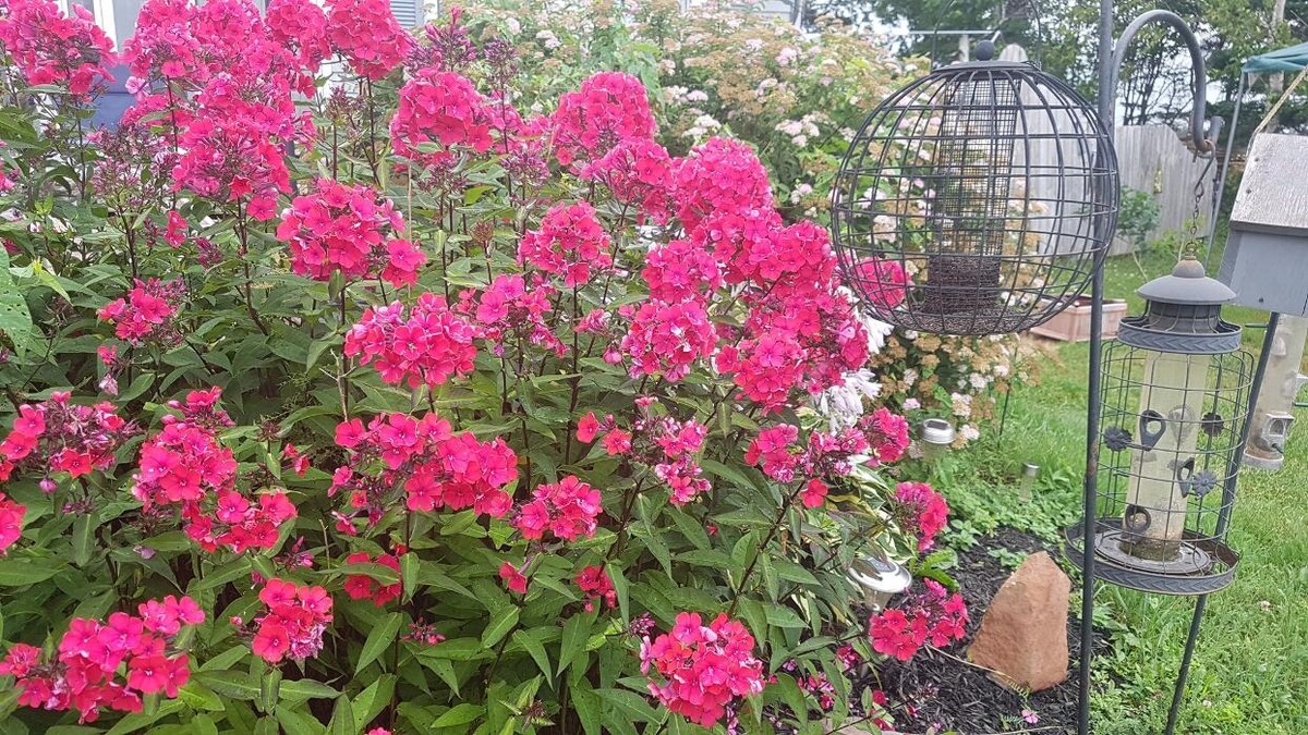 Images Lords Seaside Cottages And Pei Weddings