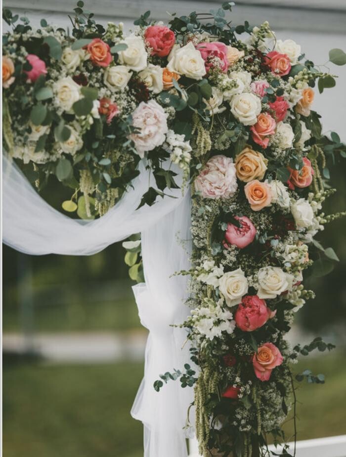 Images Leis de Buds