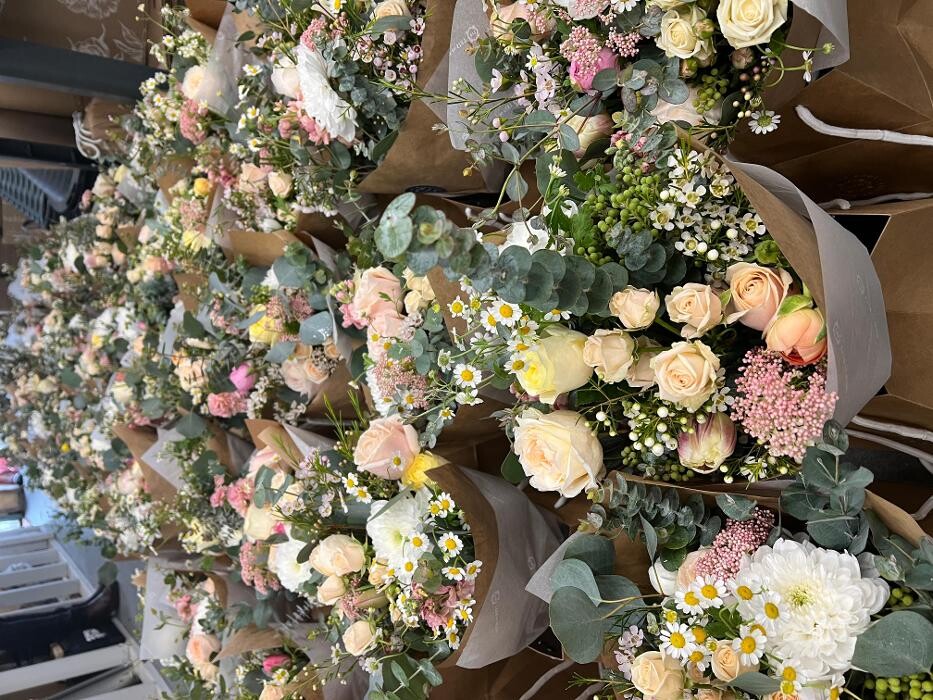Images Leis de Buds