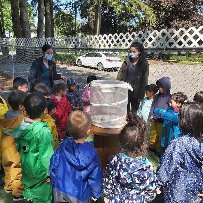Images Cloudberries Day Care