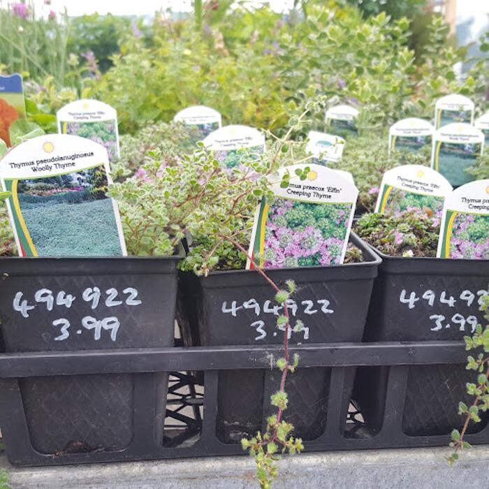 Images Salmon Arm, BC