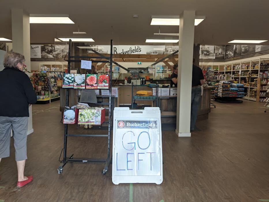 Images Salmon Arm, BC