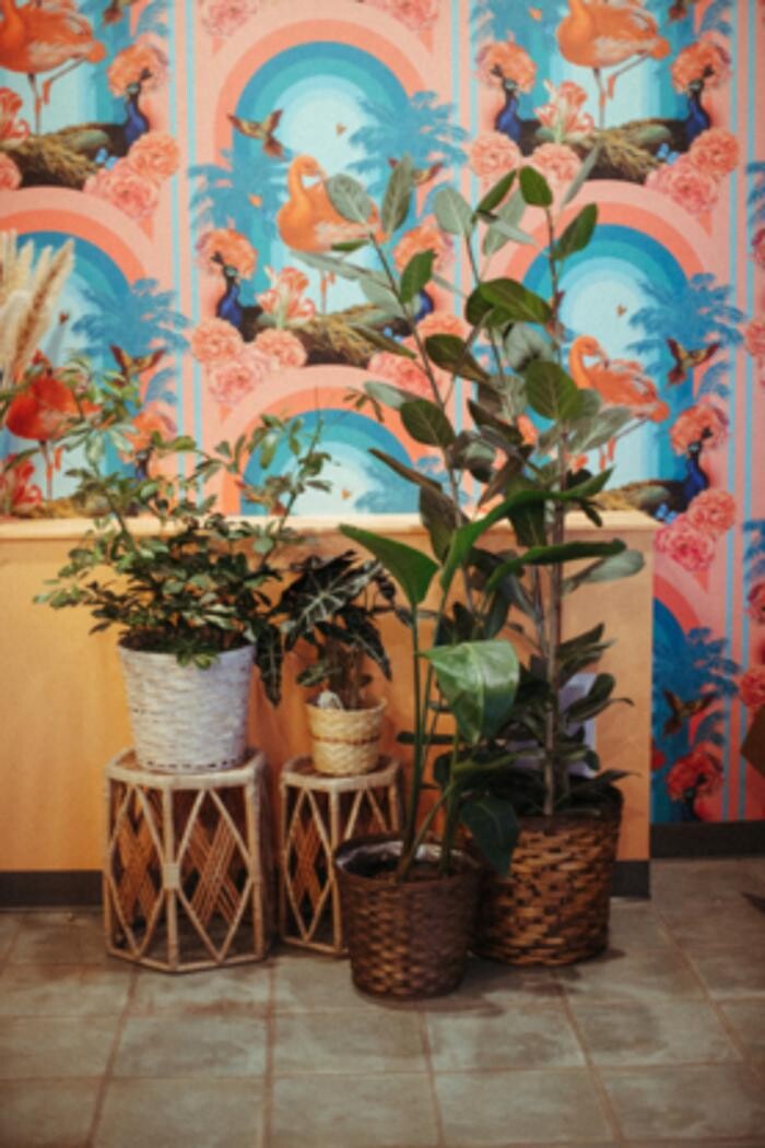 Images Floras Atelier Inc.