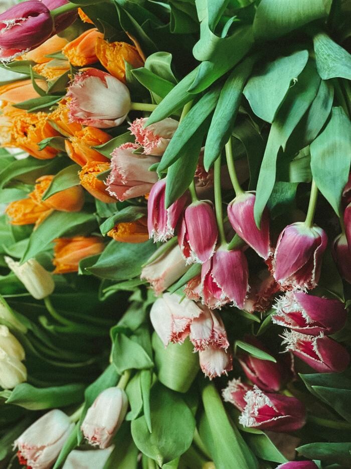 Images Floras Atelier Inc.