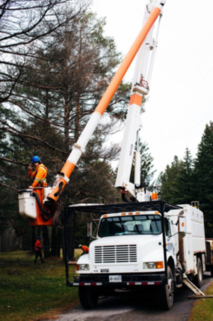 Images Kenyon Tree Services