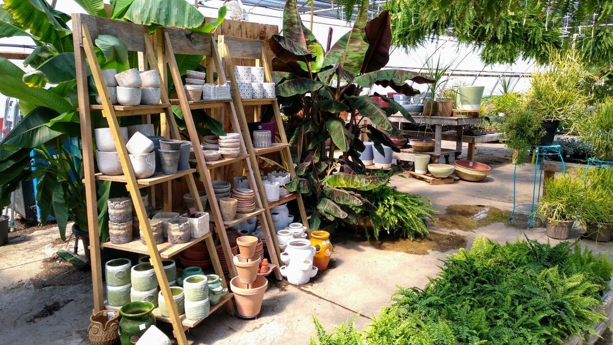 Images Little Tree Garden Market