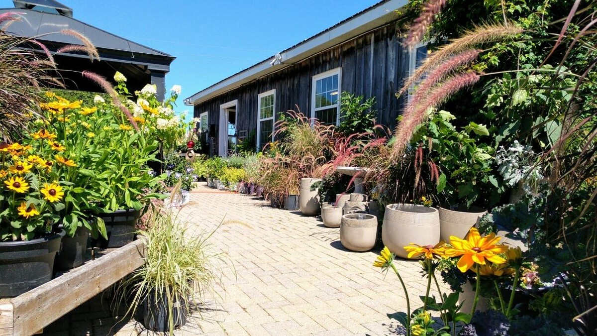 Images Little Tree Garden Market