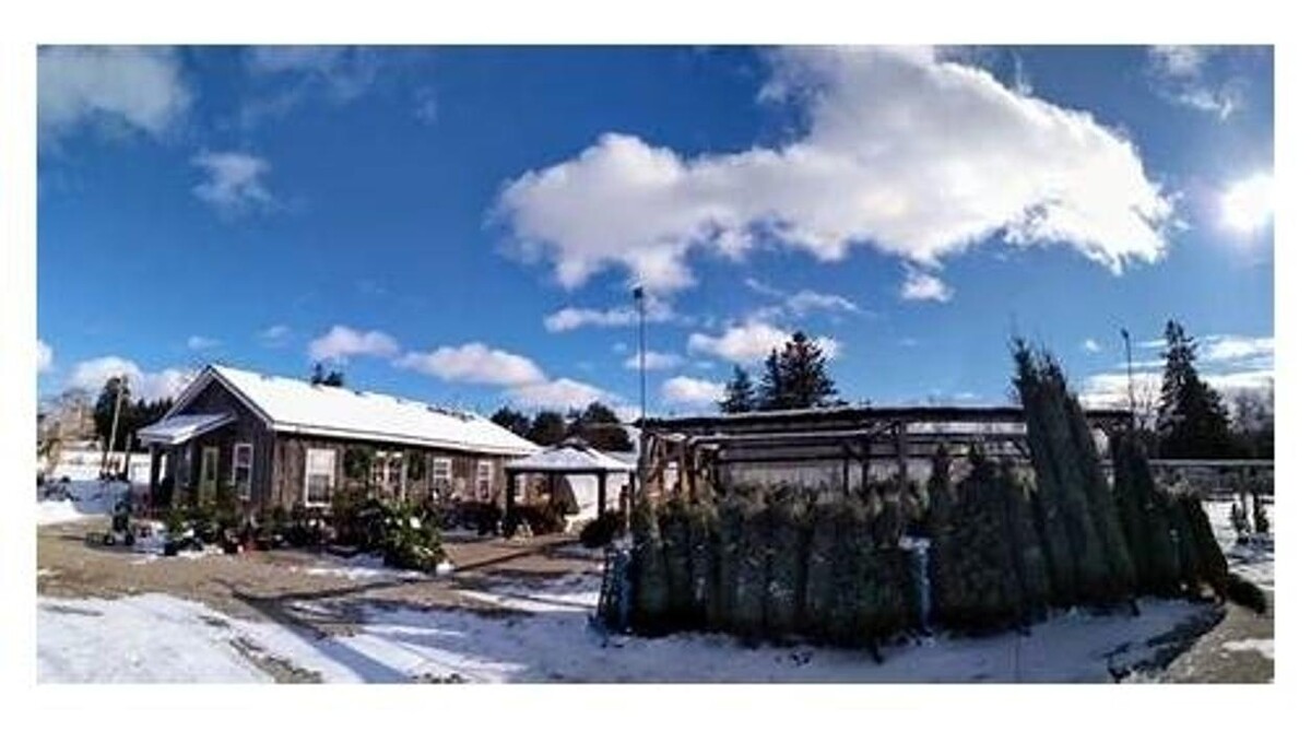 Images Little Tree Garden Market