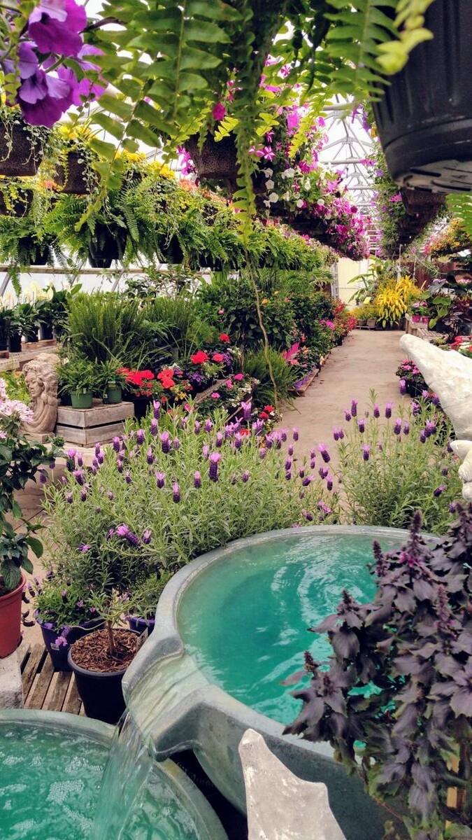 Images Little Tree Garden Market