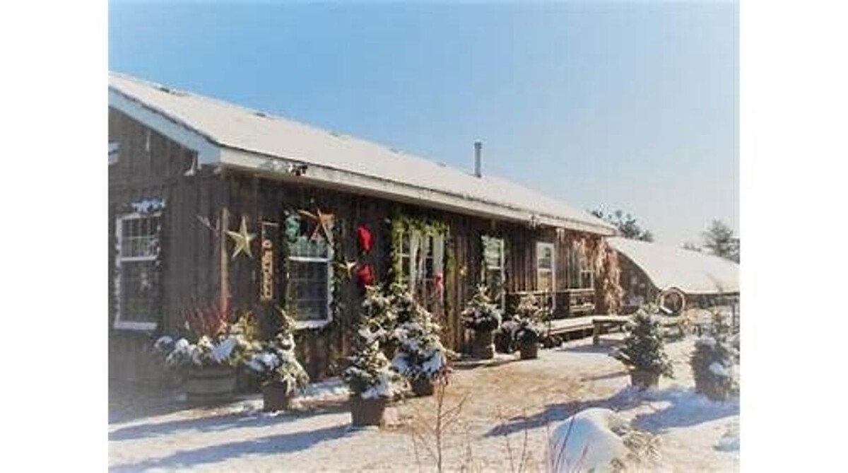 Images Little Tree Garden Market